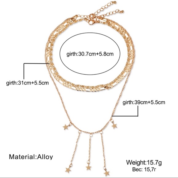 ONE DAY SALE NEW Layer Necklace - Picture 6 of 6